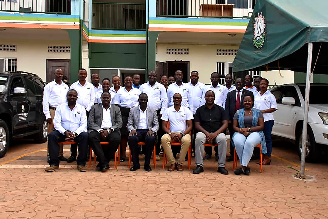 Organisational Development